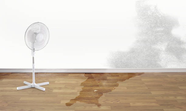 Best Fire Damage Restoration  in Pleasant Hill, CA