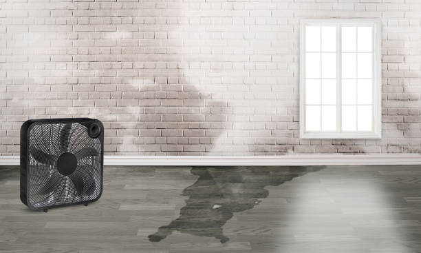 Fire Damage Restoration in Pleasant Hill, CA
