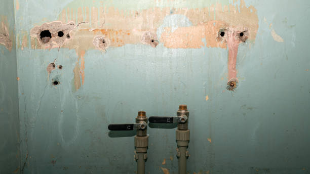 Trusted Pleasant Hill, CA Water damage restoration Experts